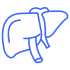 liver